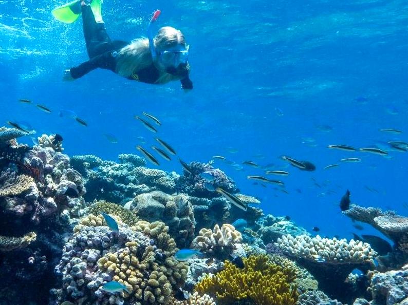 Snorkel in the Lively Waters of Bundegi Reef.