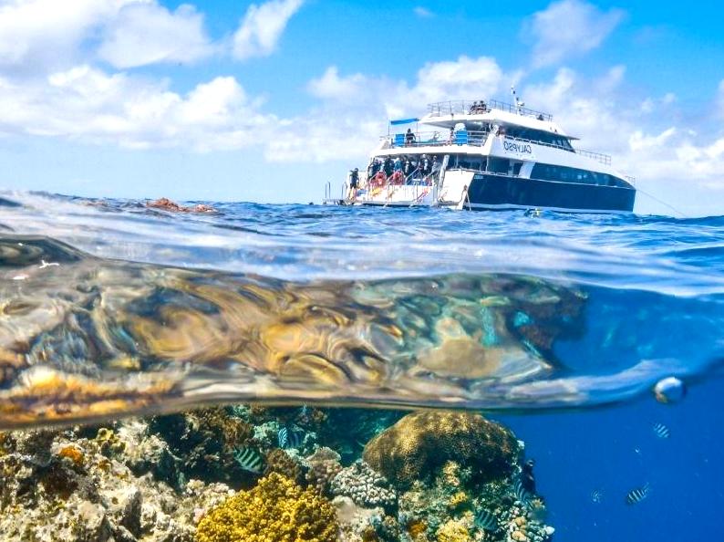 Dive into the Rich Colors of Bundegi Reef While Snorkeling.