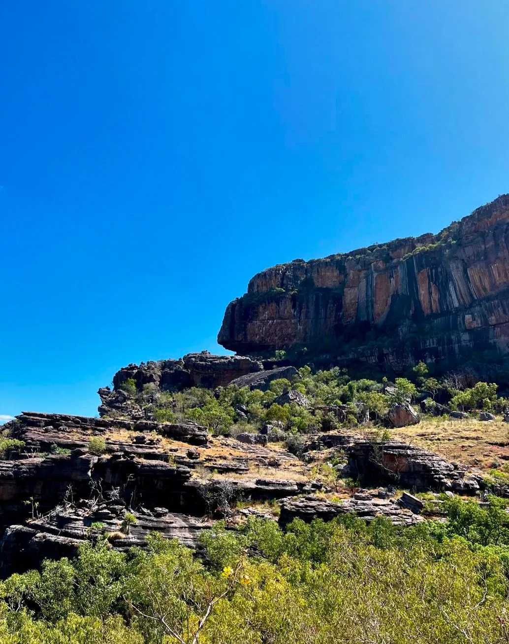 technologygadget | Is Driving in Kakadu at Night Safe?