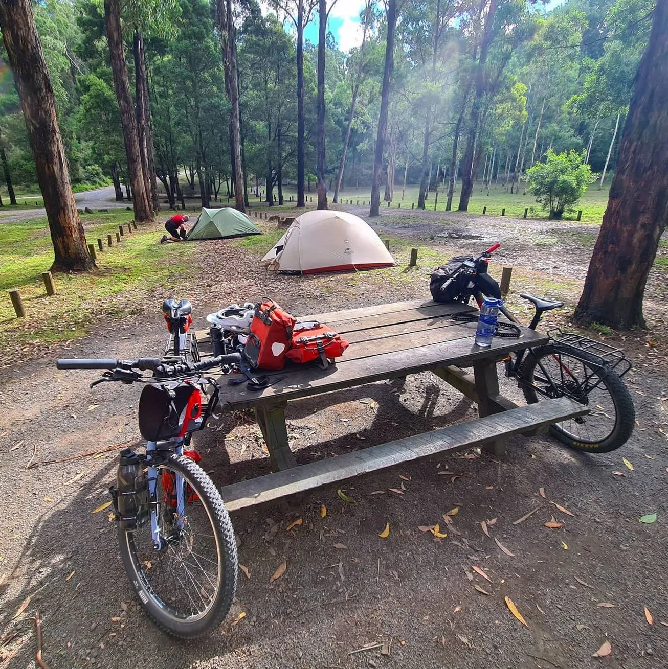 technologygadget | Can You Camp for Free on the Great Ocean Road?