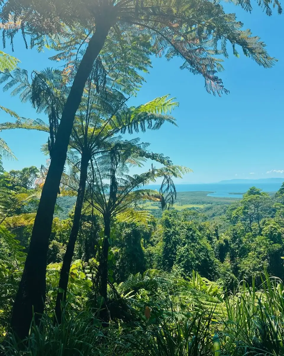 technologygadget | Summer In Cairns