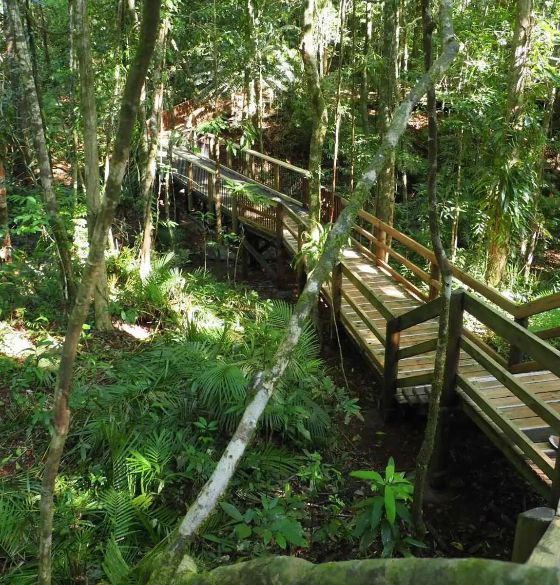 technologygadget | Summer In Cairns